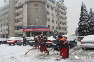 港区银装素裹 清雪热火朝天